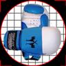 Boxhandschuhe Combat