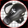 Boxhandschuhe Punch