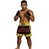 FIGHTERS - Muay Thai Shorts / Schwarz-Gelb / XXL