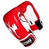 FIGHTERS - Boxhandschuhe / Giant / Rot / 10 oz