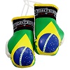 FIGHT-FIT - Mini Boxhandschuhe / Brasilien